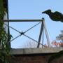 woonhuis festen